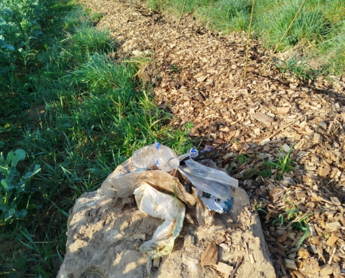 Déchets aux pieds d'une haie
