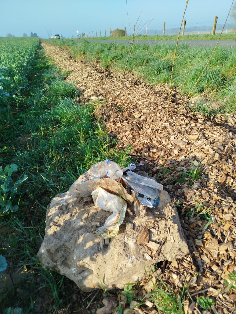 Déchets aux pieds d'une haie