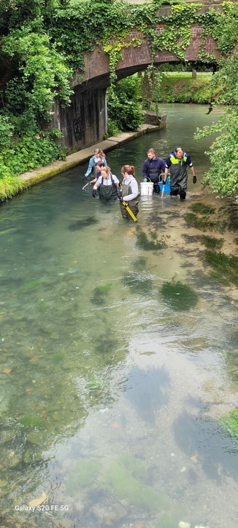 L'équipe du SMBVAS ramasse les déchets dans l'Austreberthe