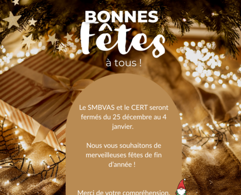 Bonnes fêtes de fin d'année