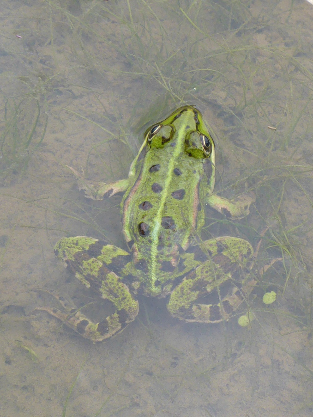 WhatsApp Image 2026 04 01 At 15.16.48