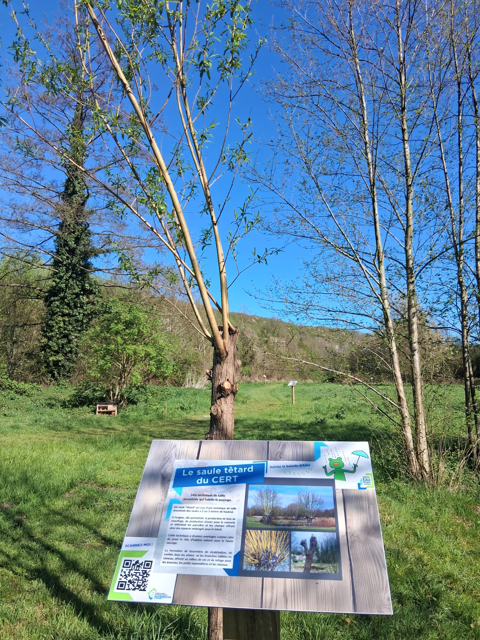 WhatsApp Image 2026 04 13 At 09.00.25 (5)