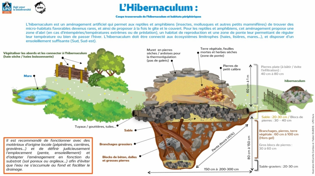 Hibernaculum V2 Fd