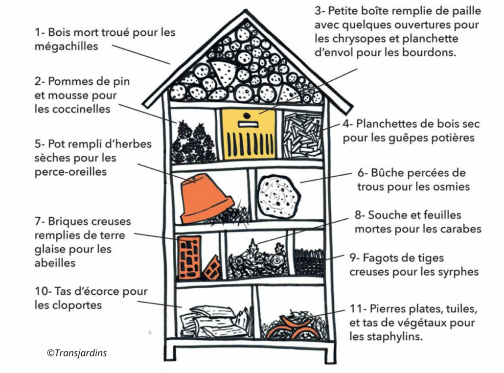 Contenu QR Code Maison à Insectes schéma d'un hotel à insectes